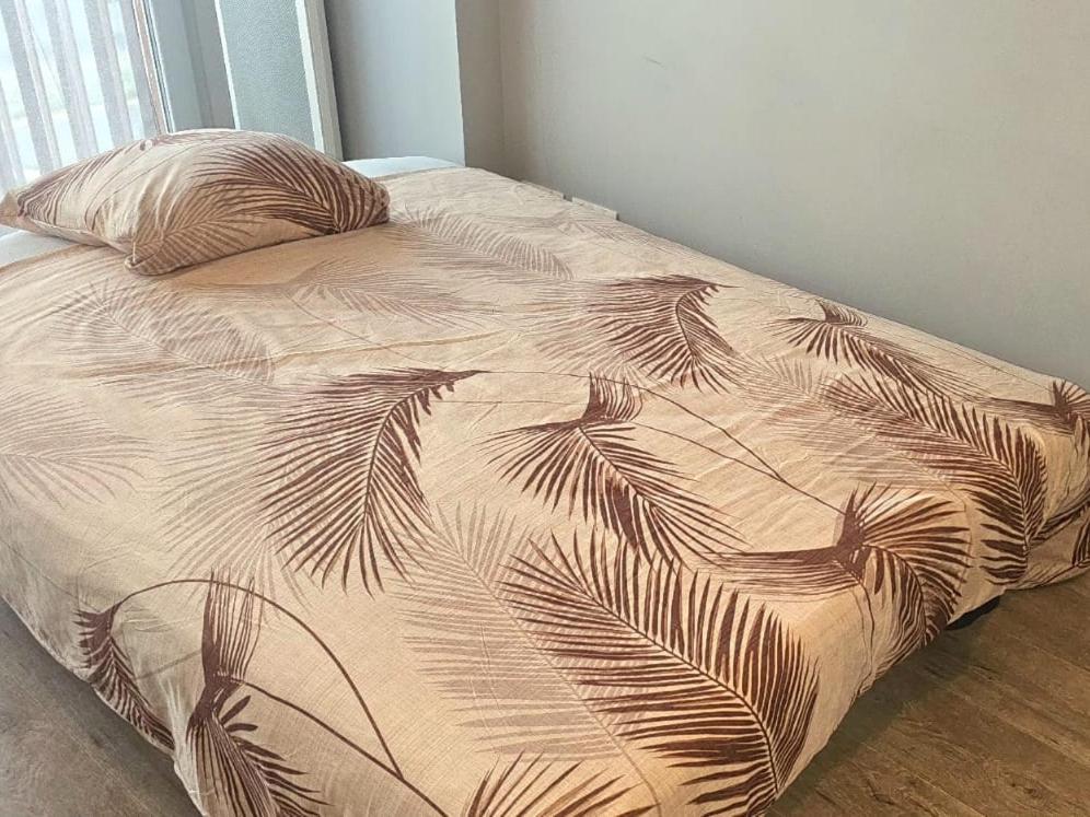 T2 Recent Etoile Saint-Malo Apartment Ngoại thất bức ảnh